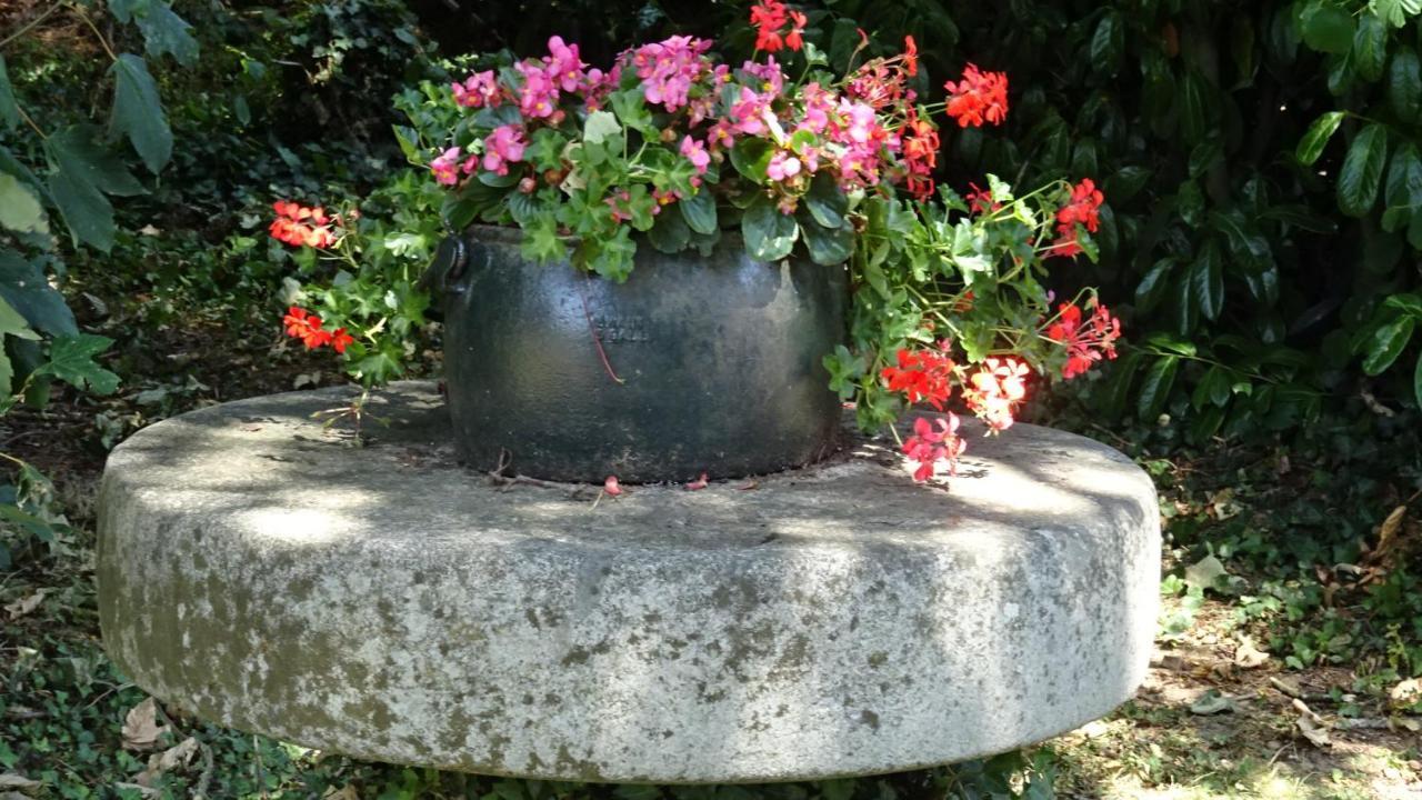 Le Glycine A Manoir Sainte Cecile Appartement Juvigny-Val-d'Andaine Buitenkant foto